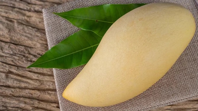 Discover the Amazing Benefits of African Mango!